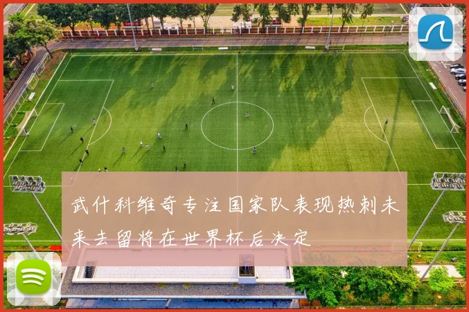 武什科维奇专注国家队表现热刺未来去留将在世界杯后决定